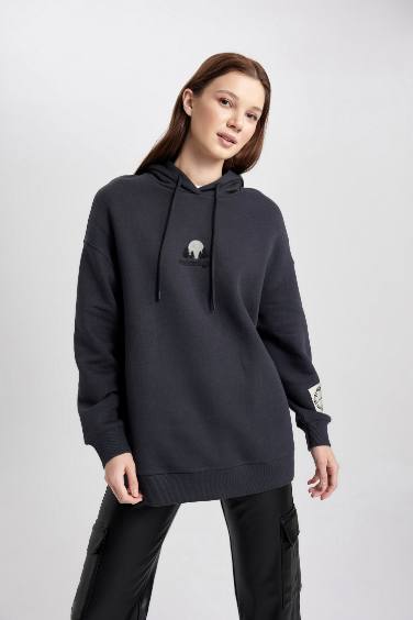 Regular Fit Hooded Embroidered Thick Sweatshirt Tunic