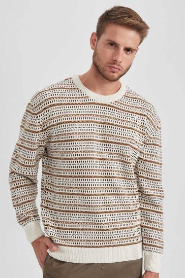 Standard Fit Patterned Crew Neck Knitted Pullover