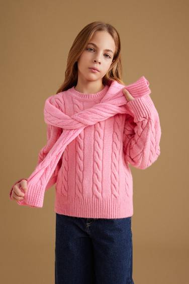 Girl Regular Fit Crew Neck Knitted Pullover