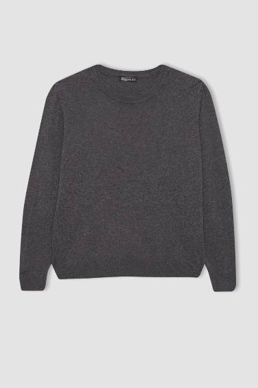 Regular Fit V Neck Premium Soft Wool Textured Knitted Pullover