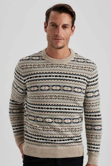 Standard Fit Patterned Crew Neck Knitted Pullover