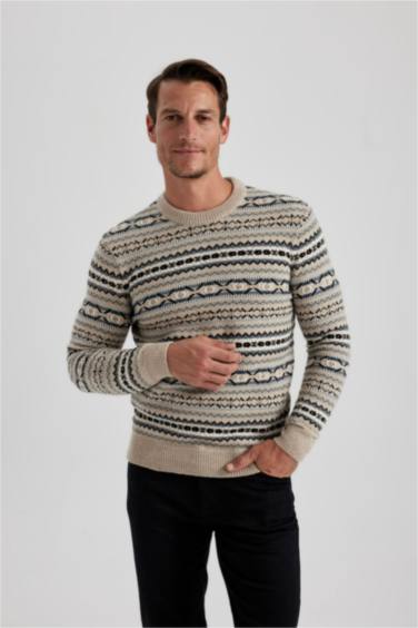 Standard Fit Patterned Crew Neck Knitted Pullover