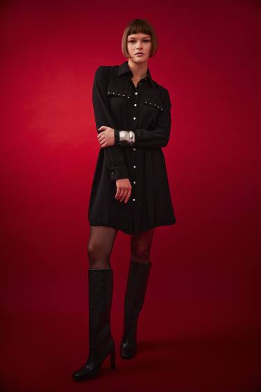 Shirt Collar Belted Long Sleeve Mini Crepe Dress