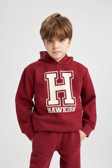 Boy Printed Hooded Thick Sweatshirt