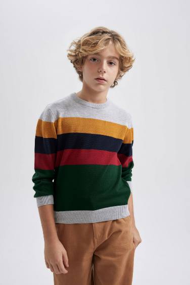 Boy Regular Fit Crew Neck Pullover