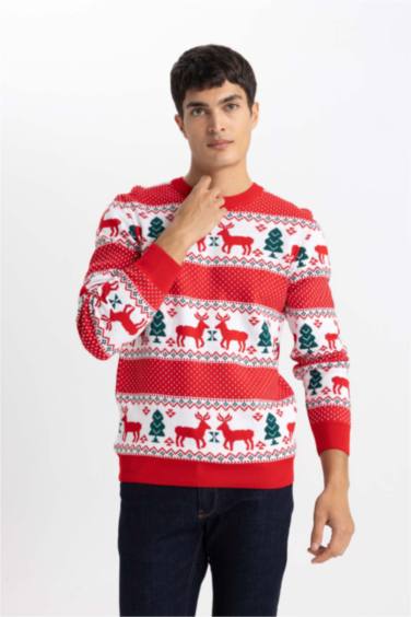 New Year Themed Standard Fit Crew Neck Knitted Pullover
