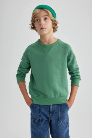 Regular Fit Crew Neck Sweatshirt