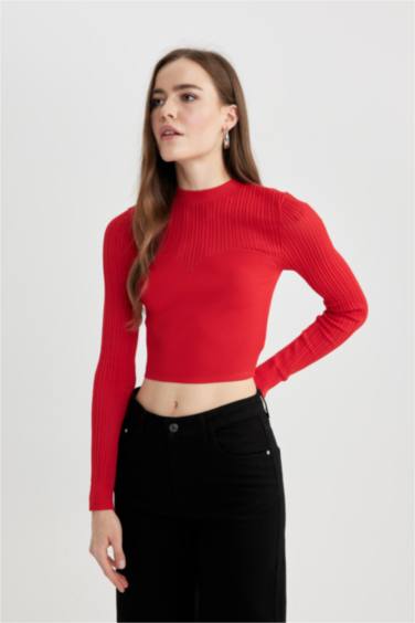 Pull Tricot Coupe Régulière Col Rond