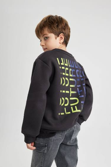 Boy Crew Neck Printed Thick Sweatshirt