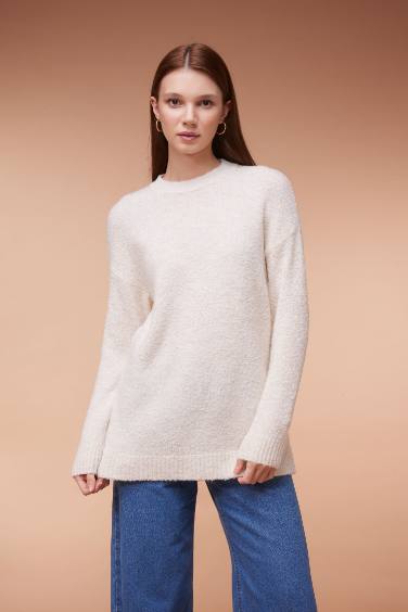 Regular Fit Crew Neck Basic Knitted Pullover Tunic