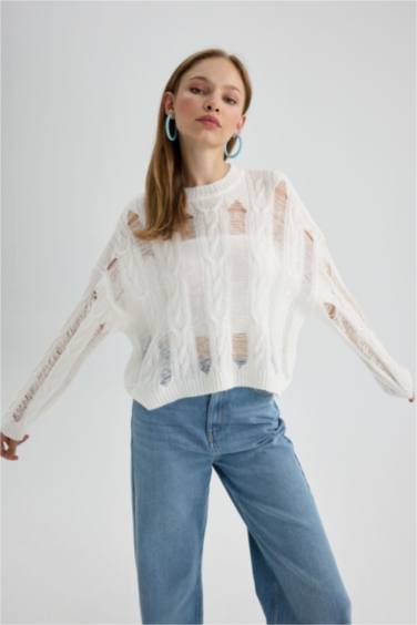 Crew Neck Openwork Pullover