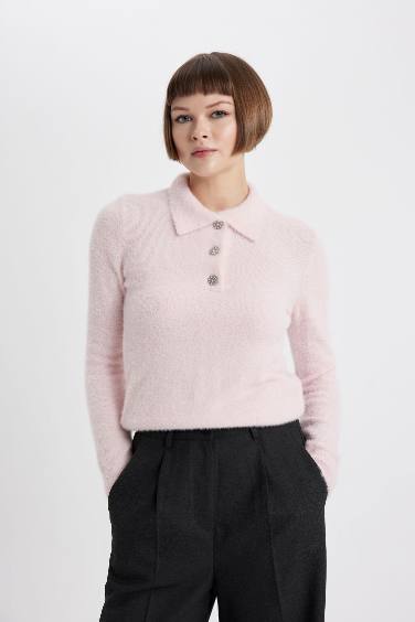 Regular Fit Polo Neck Pullover