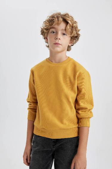 Світшот стандартного крою Selanoıke для хлопчиків