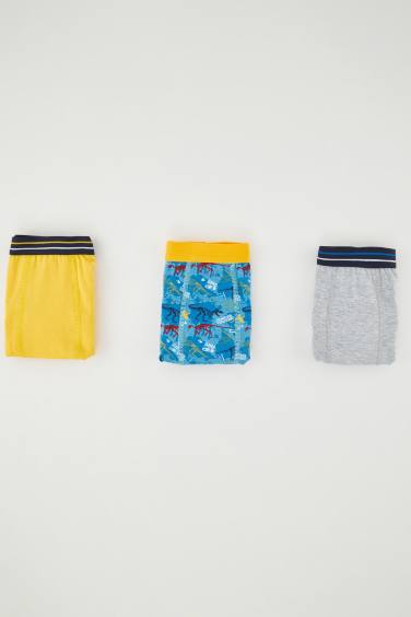 Boy 3 piece Boxer