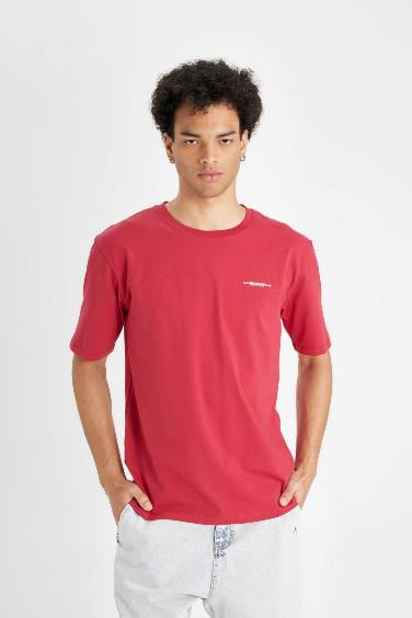 Regular Fit Crew Neck Printed T-Shirt