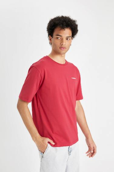 Regular Fit Crew Neck Printed T-Shirt