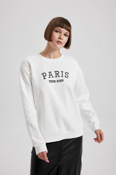 Regular Fit Crew Neck Printed Thick Fabric Sweatshirt