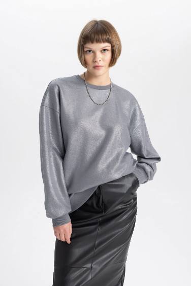 Relax Fit Crew Neck Basic Shiny Thick Sweatshirt