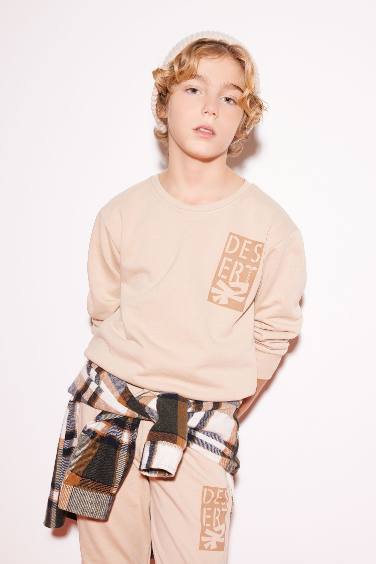 Boy Crew Neck Printed Sweatshirt