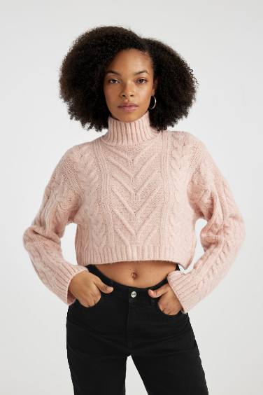 Regular Fit Half Turtleneck Pullover