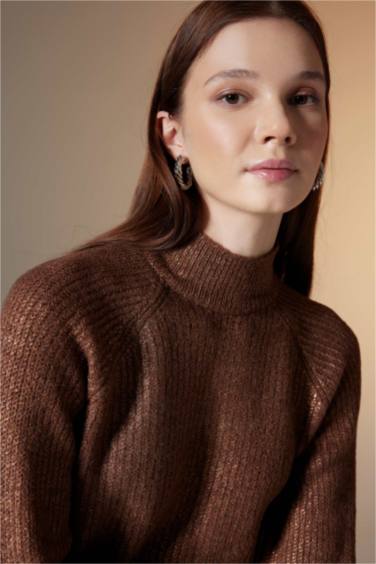 Regular Fit Half Turtleneck Basic Knitted Pullover Tunic