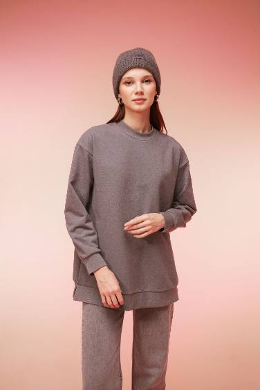 Regular Fit Crew Neck Basic Sweatshirt Tunic