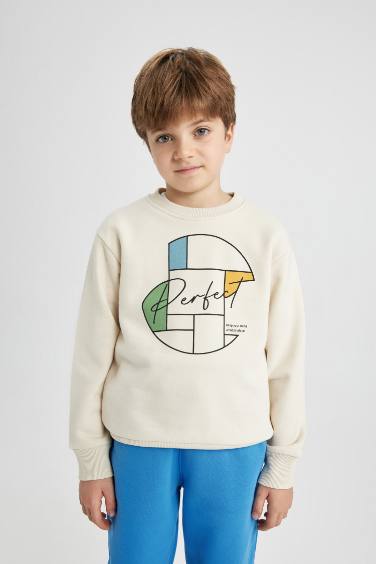 Boy Crew Neck Printed Thick Sweatshirt