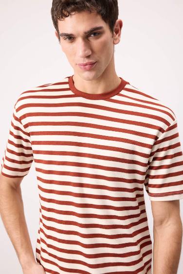 Boxy Fit Crew Neck Striped Short Sleeve T-Shirt