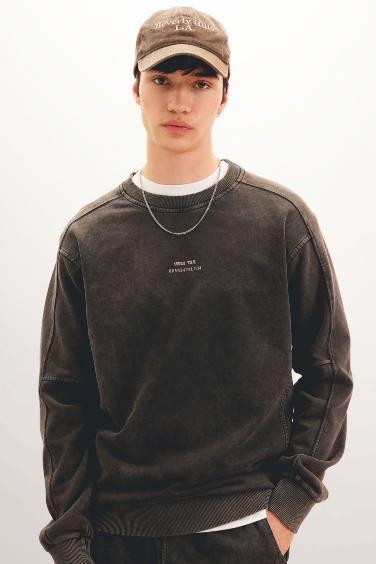 Regular Fit Crew Neck Printed Sweatshirt