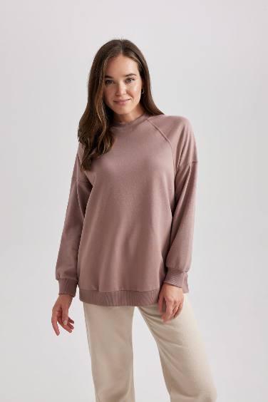 Regular Fit Crew Neck Soft Furry Basic Sweatshirt Tunic