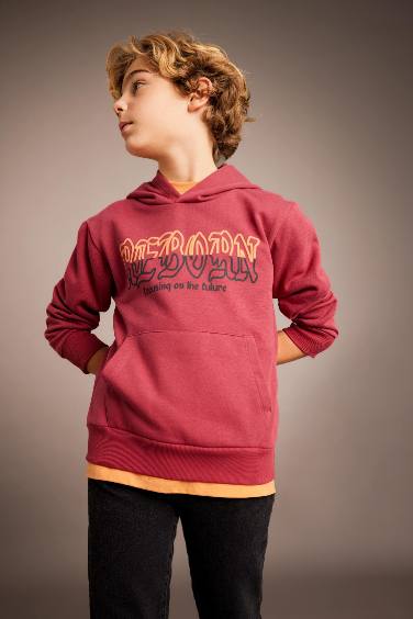 Boy Printed Hooded Thick Sweatshirt