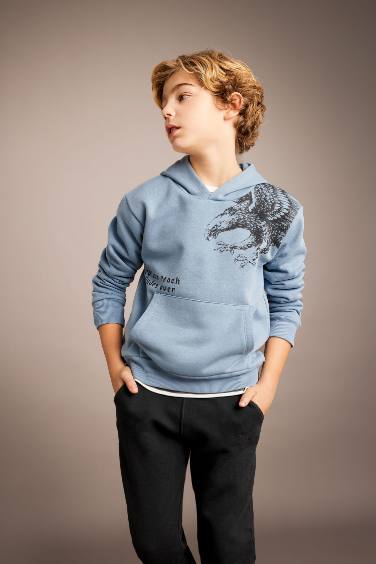 Boy Printed Hooded Thick Sweatshirt