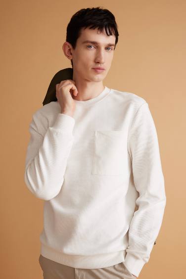 Regular Fit Long Sleeve Sweatshirt