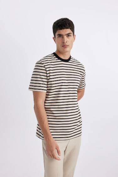 Regular Fit Crew Neck Striped T-Shirt