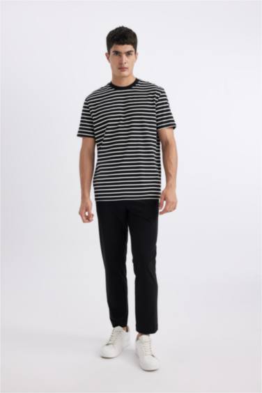 Regular Fit Crew Neck Striped T-Shirt