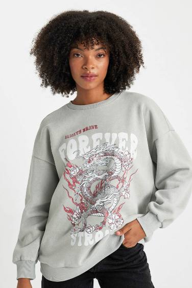 Oversize Fit Crew Neck Printed Faded Wash Effect Thick Sweatshirt