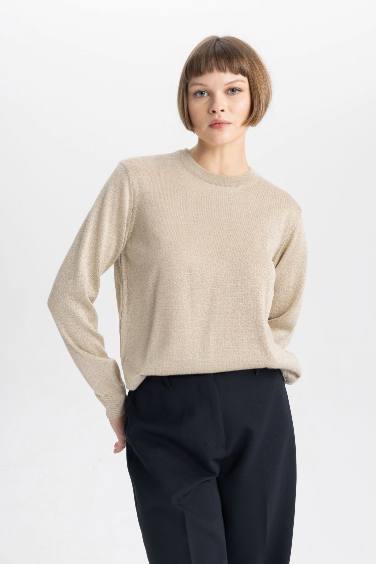 Crew Neck Shiny Fabric Basic Pullover