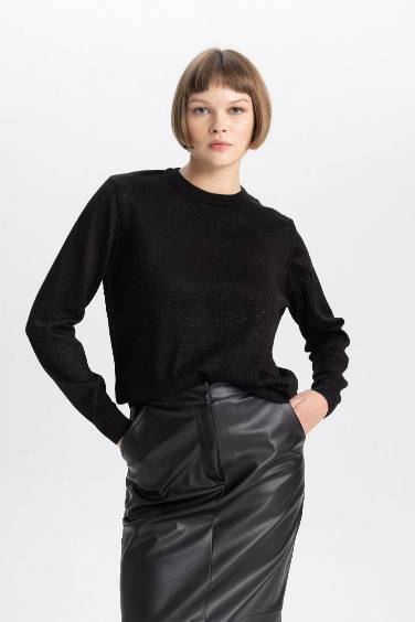 Crew Neck Shiny Fabric Basic Pullover