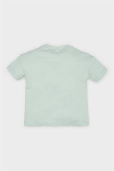 Baby Girl Regular Fit Crew Neck Short Sleeve T-Shirt