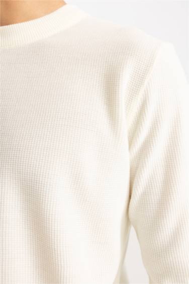 Standard Fit Crew Neck Knitwear Pullover