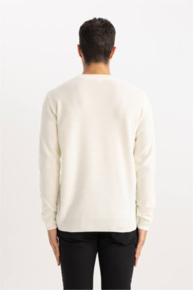 Standard Fit Crew Neck Knitwear Pullover