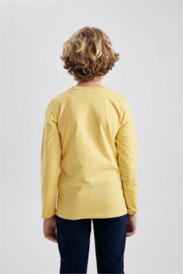 Boy Regular Fit Crew Neck Long Sleeve T-Shirt