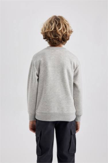 سويت شيرت ولادي قصة عادية بياخة مستديرة