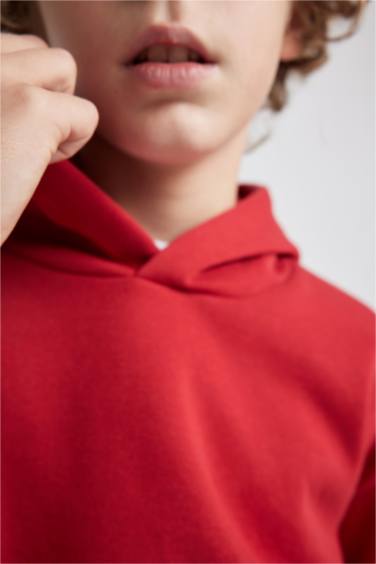 Erkek Çocuk Basic Düz Kapüşonlu Sweatshirt