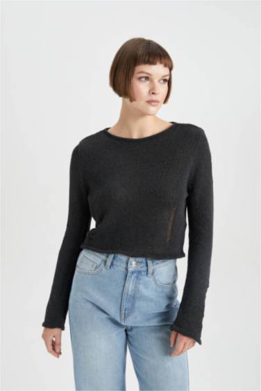 بلوفر قصة عادية برقبة مستديرة