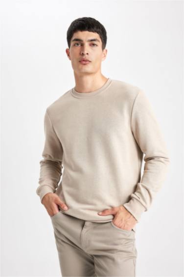 Regular Fit Sweatshirt