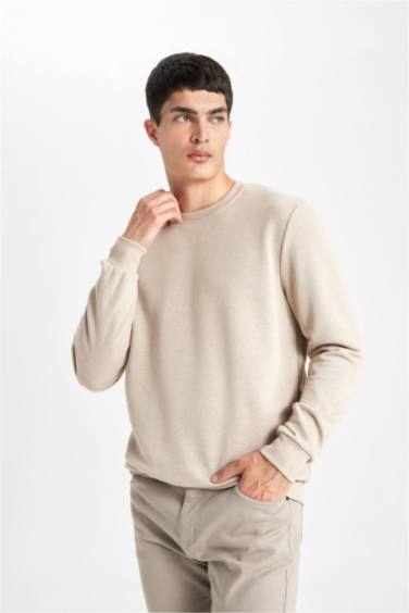 Regular Fit Sweatshirt