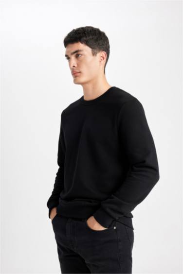 Regular Fit Bisiklet Yaka Sweatshirt