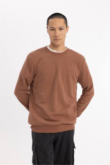 Regular Fit Bisiklet Yaka Sweatshirt