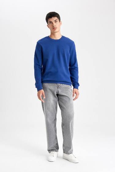 Regular Fit Sweatshirt